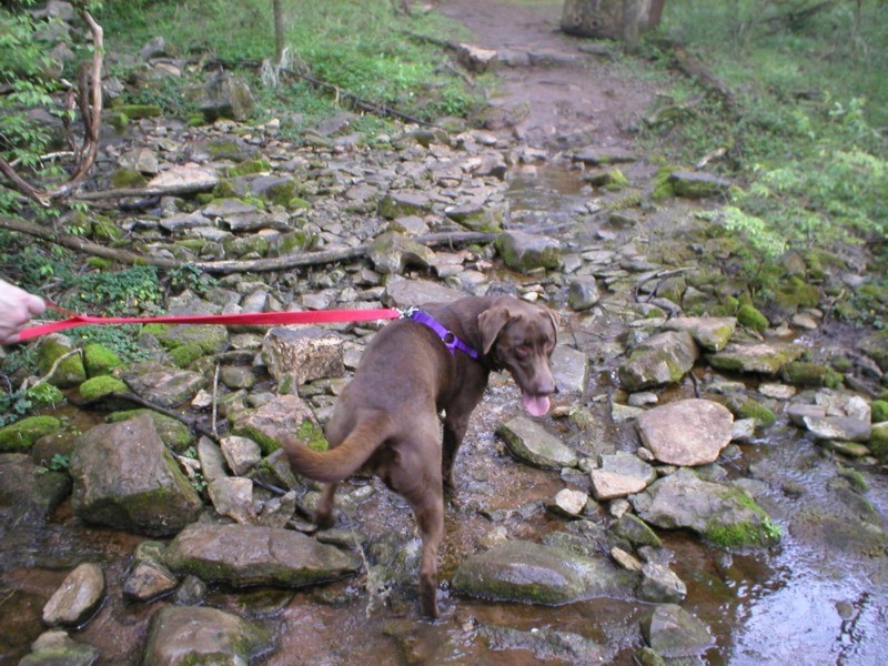 Katy in Northwall 2.JPG